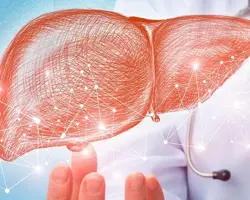 MONOTÉMATICKÝ HEPATOLOGICKÝ DEŇ 2022